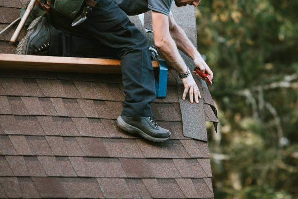 Best Local Roofing Companies  in Iowa Falls, IA