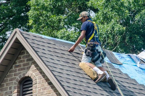 Quick and Trustworthy Emergency Roof Repair Services in Iowa Falls, IA